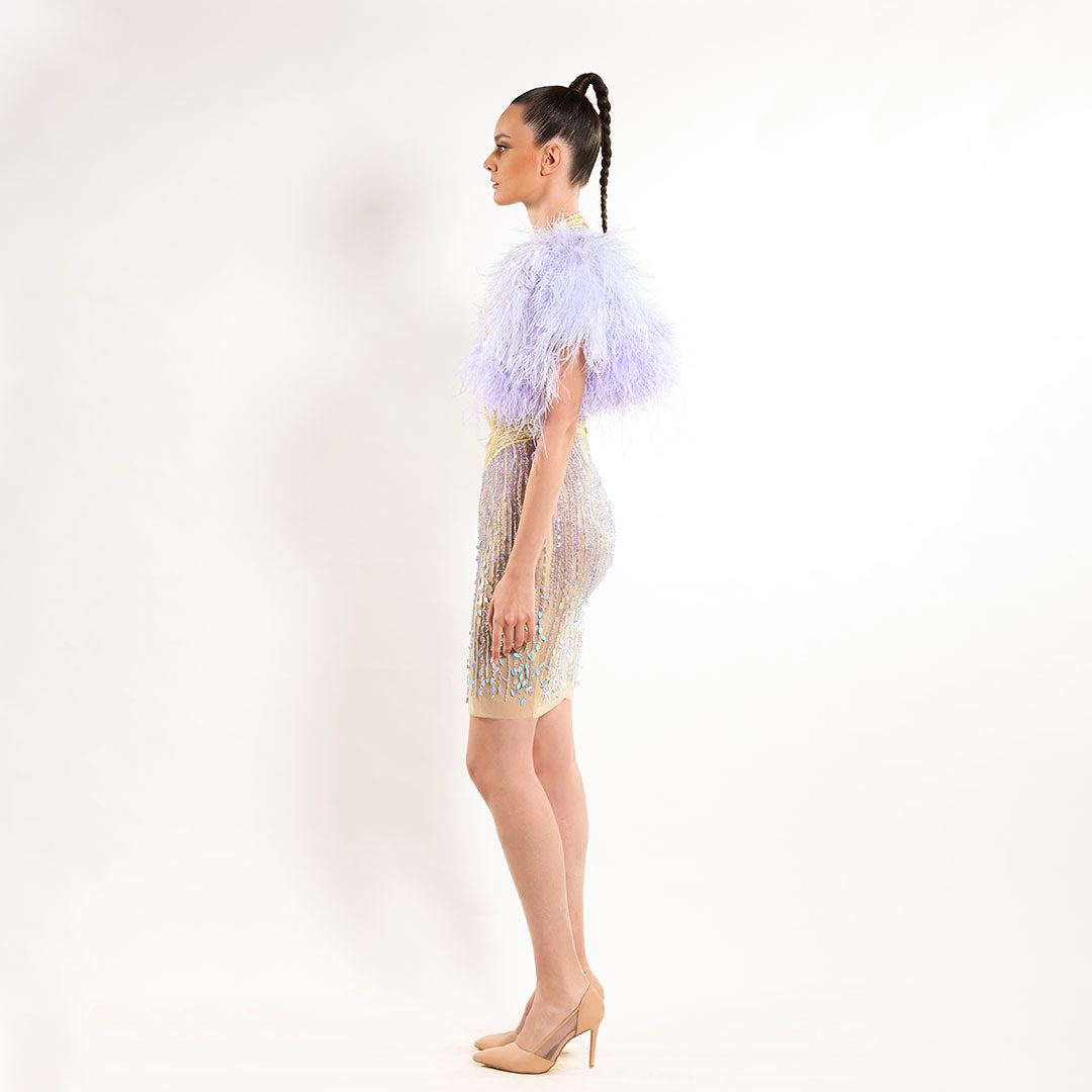 Chic Elegance Dress