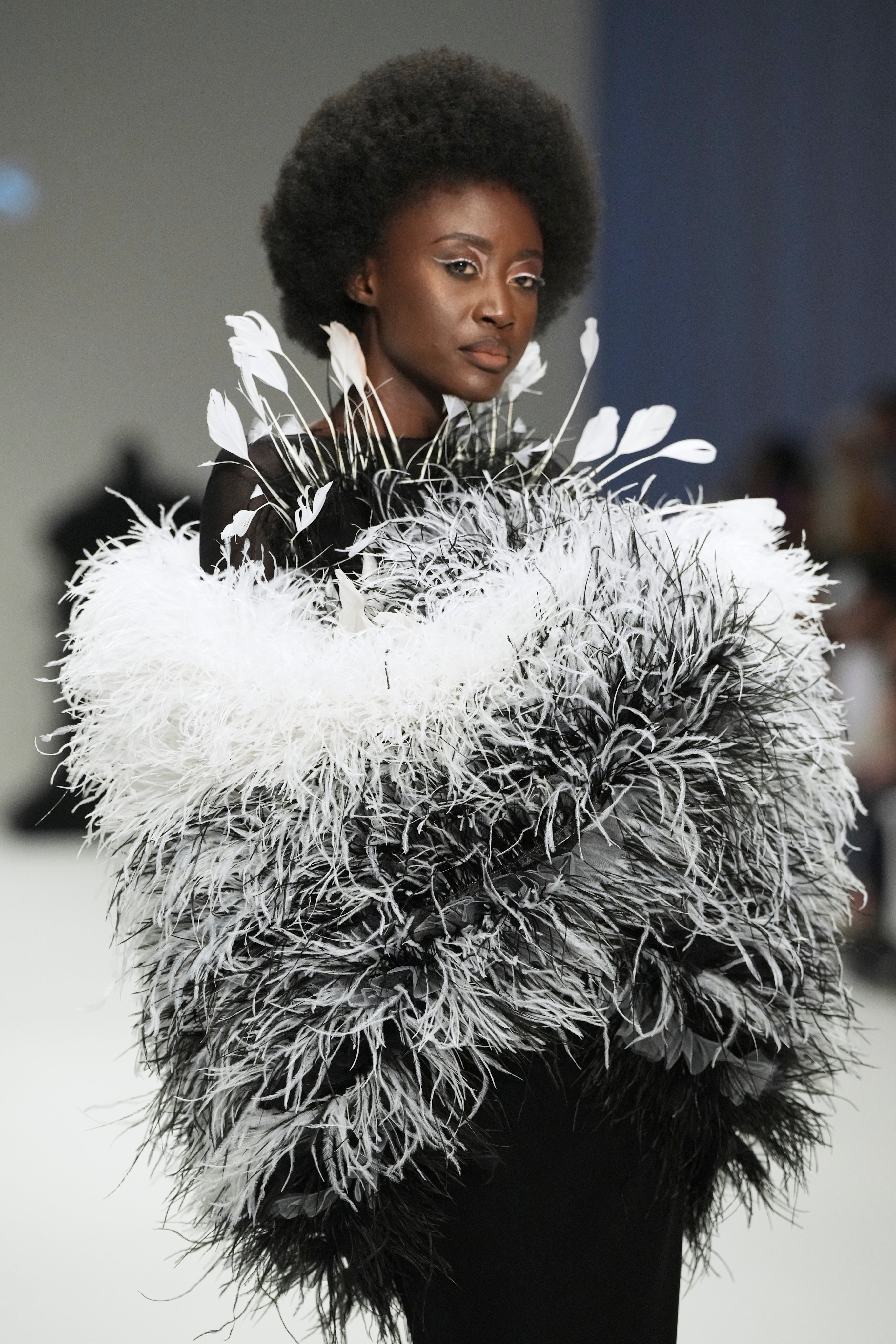 Swan's Feathered Noir Dress