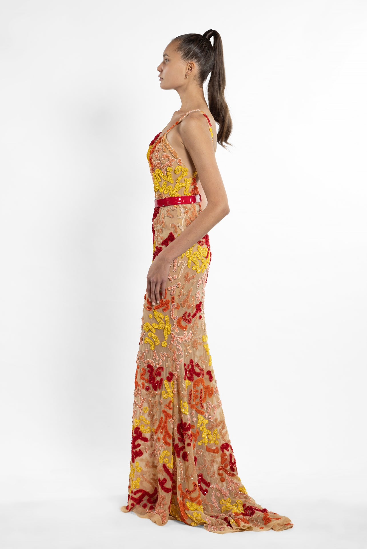 Starry Dawn Dress