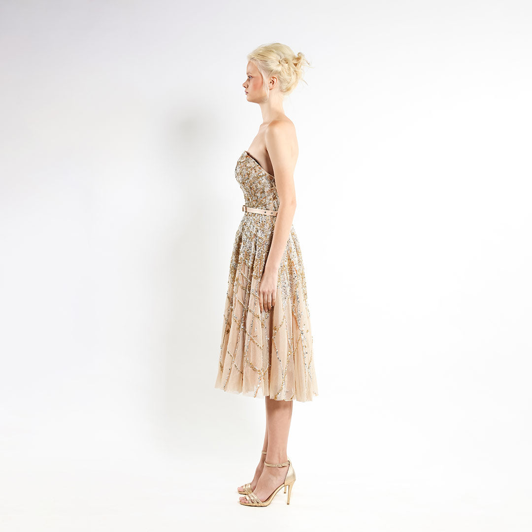 Crystal Cascade' Midi Dress