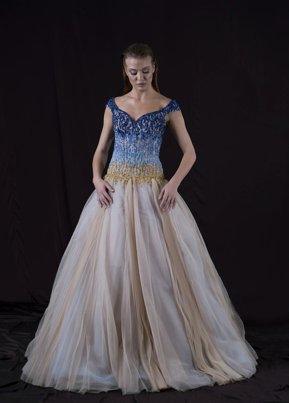 Aurora Midnight Splendor Dress