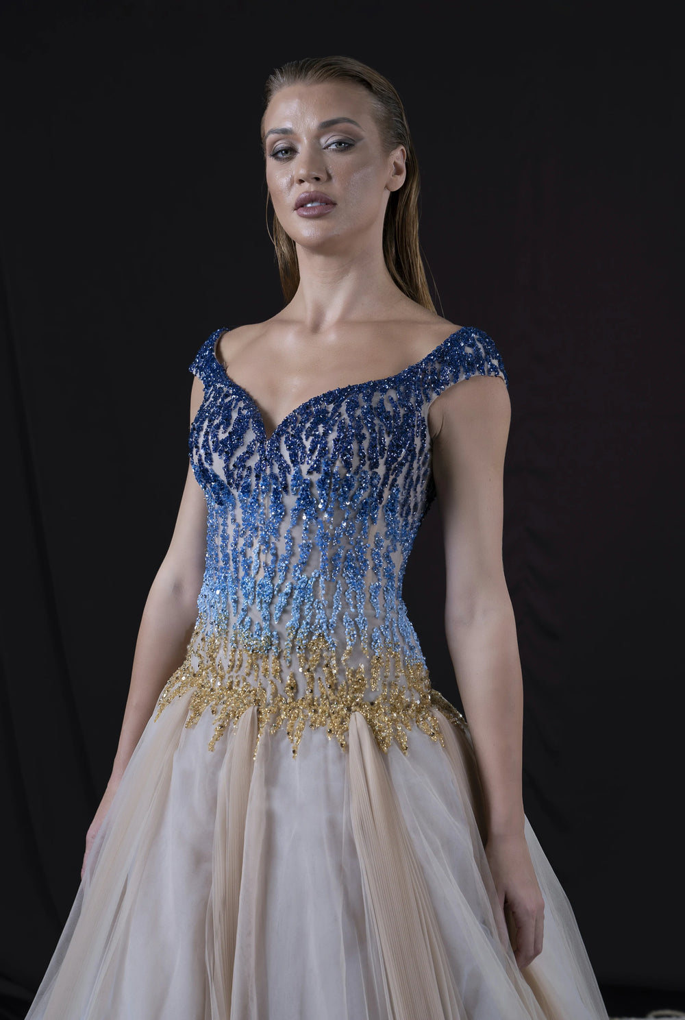 Aurora Midnight Splendor Dress